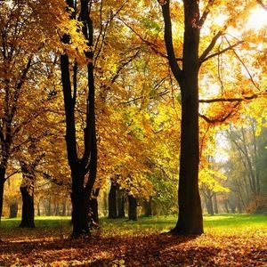 Meet your Posher, Rodney